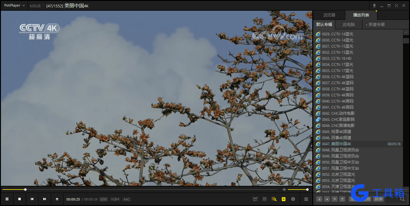 PotPlayer 261021(1.7.23165)绿色版